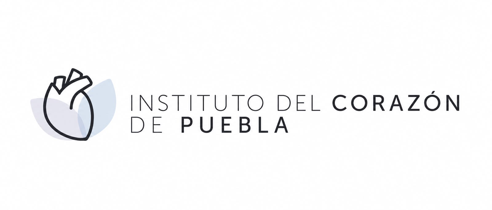 Instituto del Corazón de Puebla